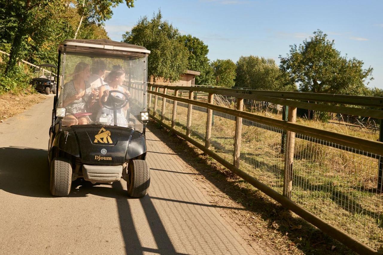 Port Lympne Hotel&Reserve Buitenkant foto