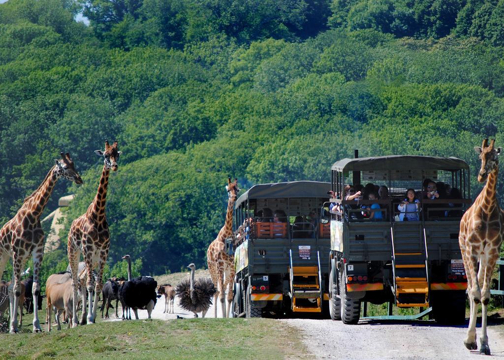 Port Lympne Hotel&Reserve Buitenkant foto