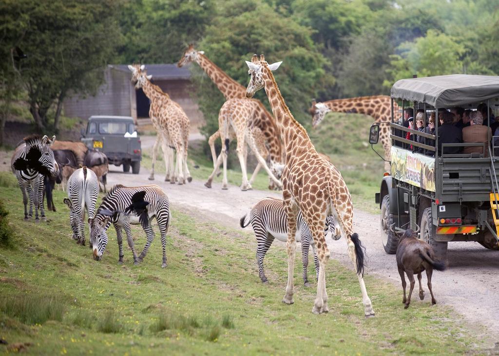 Port Lympne Hotel&Reserve Buitenkant foto